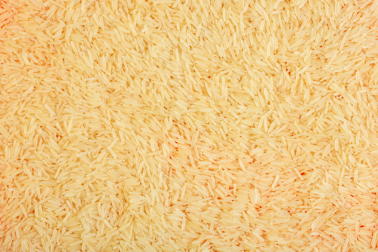 Rice Mill Facility